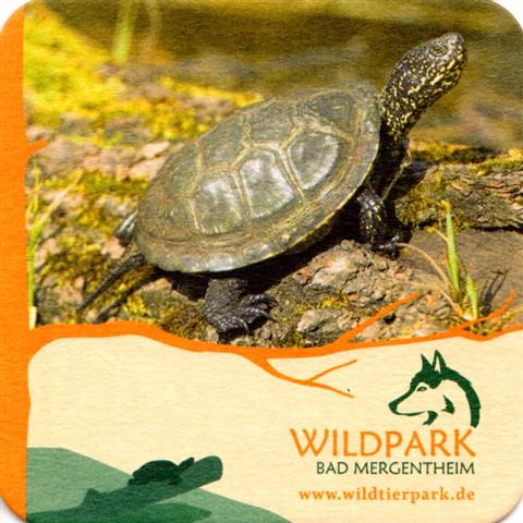 bad mergentheim tbb-bw herbst wild 8b (quad185-schildkrte)